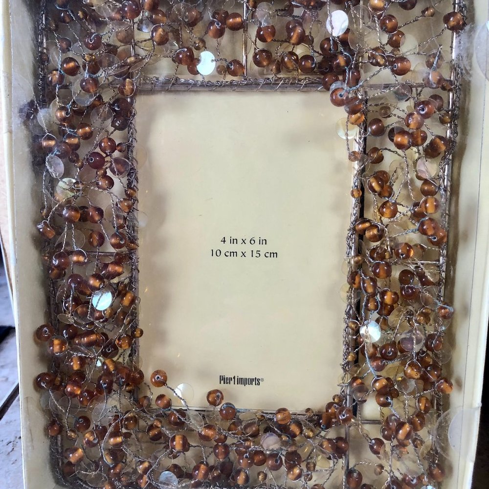 Pier 1 Picture Photo Frame Amber Pepper Berry Jeweled Glam Metal 4x6" New NIB
